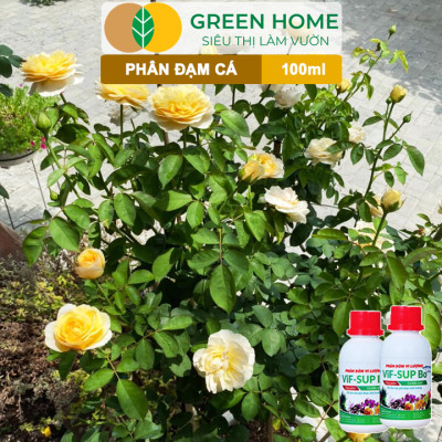 Phân Đạm Cá Greenhome, Minro, Chai 100ml, Hữu Cơ Giúp Thân, Rễ Cây Khoẻ, Siêu Chồi Và Hoa Phù Hợp Cho Hoa Hồng, Rau