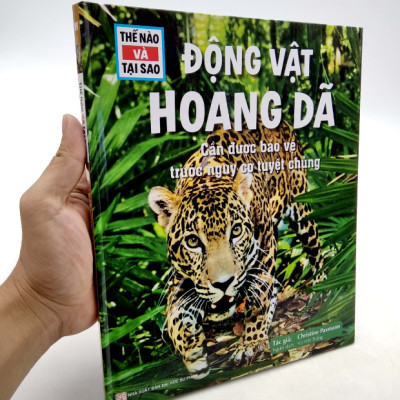 Thế Nào Và Tại Sao - Động Vật Hoang Dã Cần Được Bảo Vệ Trước Nguy Cơ Tuyệt Chủng