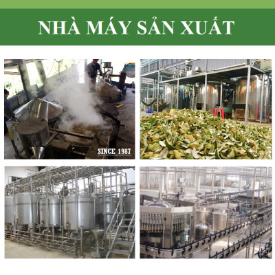 Tinh dầu Trầm Hương 100ml nguyên chất từ thiên nhiên, xông phòng, khử mùi, thơm phòng, đuổi muỗi - KingOil