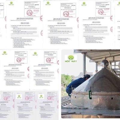 Tinh dầu Tràm Organic hữu cơ 50ml Mộc Mây - tinh dầu thiên nhiên nguyên chất 100% - dùng xông tắm ngừa cảm lạnh, giảm côn trùng cắn đốt cho Bé, Trẻ sơ sinh và Trẻ nhỏ | An toàn cho làn da nhạy cảm của Bé