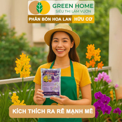Phân Bón Lan Greenhome, Bao 36 Túi Lưới, Tan Chậm, Không Mùi Hôi, Dưỡng Lan Ra Rễ, Xanh Tốt, Dùng Tốt Cho Sen Đá, Kiểng