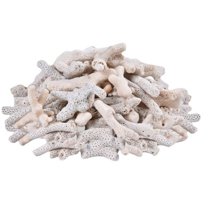 San Hô Vụn túi 1KG vật liệu lọc hồ cá, trang trí bể cá, hồ thủy sinh