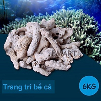 6KG San Hô Vụn vật liệu lọc hồ cá, trang trí bể cá, hồ thủy sinh cao cấp
