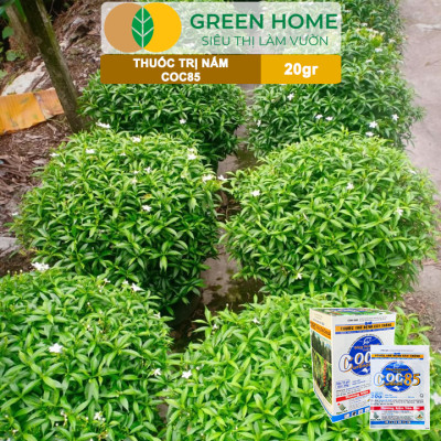 Thuốc Trị Nấm Cây Trồng Greenhome, Coc85 Wp, Gói 20gr, Trừ Đốm Lá Cho Hoa Hồng, Nấm Trên Kiểng Lá, Cây Cảnh, Cây Ăn Quả