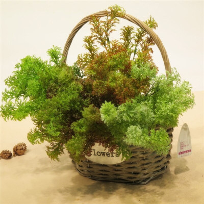 Cụm rong mốc trang trí cắm điểm siêu xinh - Cây giả, hoa lụa Decor trang trí nhà cửa