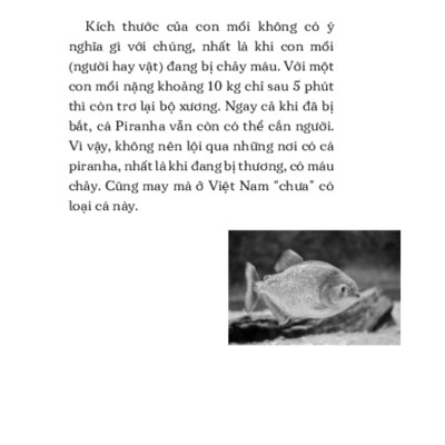 Những Nguy Hiểm Từ Thiên Nhiên _TRE
