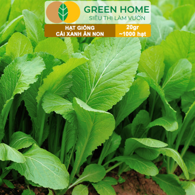 Hạt Giống Rau Greenhome, Ăn Lá, Nhiều Loại, Trồng Chậu, Dễ Trồng, Trồng Quanh Năm, Năng Suất Cao