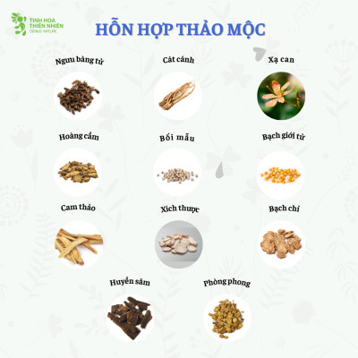 Combo 10 hộp viên ngậm ho thảo mộc Zalocol Hỗ trợ giảm đờm, giảm đau rát họng, khản tiếng do viêm họng, viêm phế quản (Hộp 20 viên) tặng túi gừng- Genat