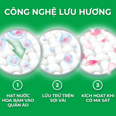 Túi Nước Giặt ARIEL Chuyên Gia Cửa Trên Ngăn Lem Màu - Hương Downy Nắng Sớm 3.65KG