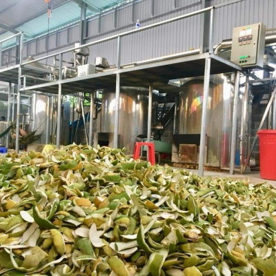 Tinh dầu Bưởi Da Xanh 50ml nguyên chất từ vỏ bưởi thiên nhiên, xông phòng, khử mùi, thơm phòng, đuổi muỗi - KingOil