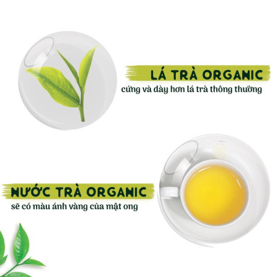 Trà xanh hoa nhài SACHS TEA 1773 ướp thủ công bởi nghệ nhân vị thơm ngọt hậu kéo dài hộp thiếc cao cấp 70g/hộp