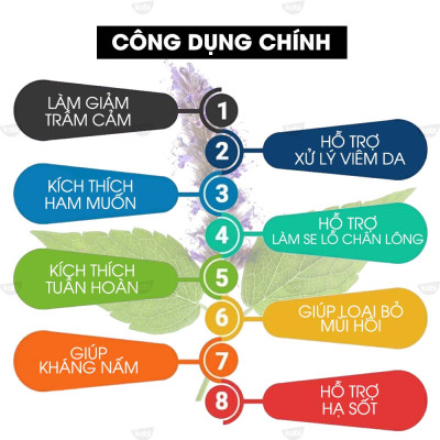 Tinh dầu Hoắc Hương Kobi Patchouli essential oil giúp tăng hưng phấn, khử trùng hiệu quả