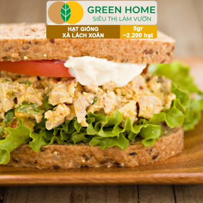 Hạt Giống Xà Lách Xoăn Greenhome, Gói 5gr~2200 hạt, Dễ Trồng Quanh Năm, Thu Hoạch Nhanh, Năng Suất Cao R21