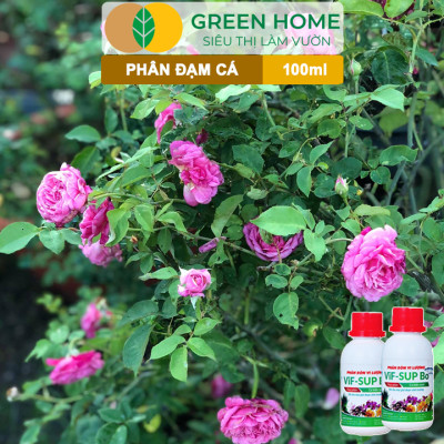 Phân Đạm Cá Greenhome, Minro, Chai 100ml, Hữu Cơ Giúp Thân, Rễ Cây Khoẻ, Siêu Chồi Và Hoa Phù Hợp Cho Hoa Hồng, Rau