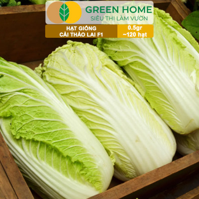 Hạt Giống Cải Thảo Goki Greenhome, Bao 0,5gr~120 hạt, Dễ Trồng, Nảy Mầm Cao, Năng Suất Cao T22