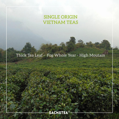 Trà xanh hoa nhài SACHS TEA 1773 ướp thủ công bởi nghệ nhân vị thơm ngọt hậu kéo dài hộp thiếc cao cấp 70g/hộp