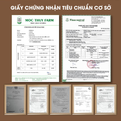 Tinh Dầu Dưa Hấu Homer 100ML - Tinh Dầu Xông Thơm Phòng, Thư Giãn Khử Mùi - Tinh Dầu Trái Cây Thiên Nhiên