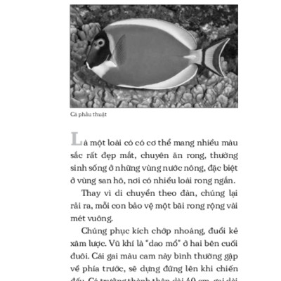 Những Nguy Hiểm Từ Thiên Nhiên _TRE