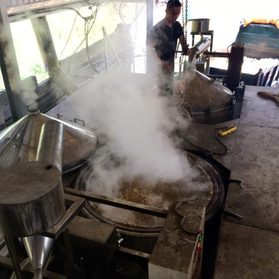 Tinh dầu Bạc Hà nguyên chất từ thiên nhiên, Thơm Phòng, Khử Mùi, Kháng Khuẩn, Đuổi Muỗi, Đuổi Chuột - KingOil