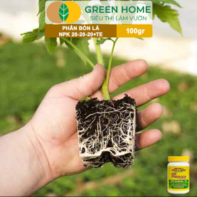 Phân Bón Lá Grow More NPK 20-20-20, GreenHome, Chai 100GR, To Củ, Lớn Trái, Chắc Hạt