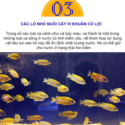 Xốp Lọc Bể Cá 90x 30cm + San Hô Vụn 1KG vật liệu lọc nước, trang trí bể cá
