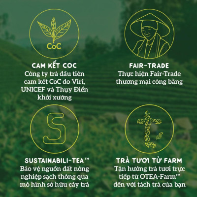 Trà xanh hoa nhài SACHS TEA 1773 ướp thủ công bởi nghệ nhân vị thơm ngọt hậu kéo dài hộp thiếc cao cấp 70g/hộp