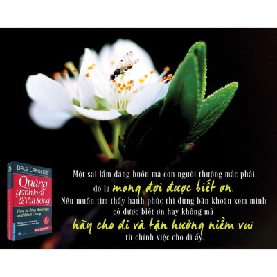 Sách - Quẳng Gánh Lo Đi & Vui Sống (Bìa Mềm) - First News