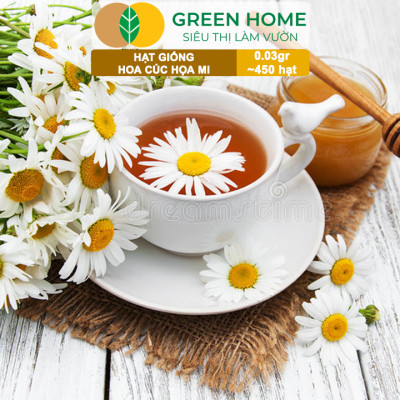 Hạt Giống Cúc Hoạ Mi Greenhome, Gói 0,03gr~450 hạt, Dễ Trồng Quanh Năm, Hoa Trắng, Nhuỵ Vàng H04