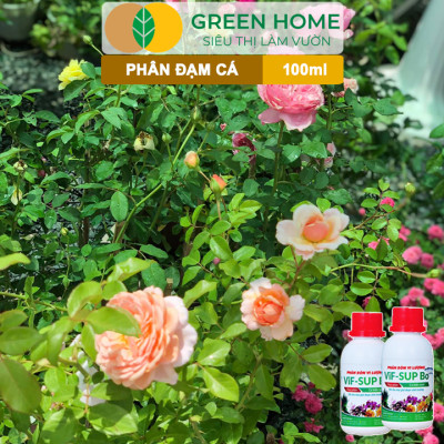 Phân Đạm Cá Greenhome, Minro, Chai 100ml, Hữu Cơ Giúp Thân, Rễ Cây Khoẻ, Siêu Chồi Và Hoa Phù Hợp Cho Hoa Hồng, Rau