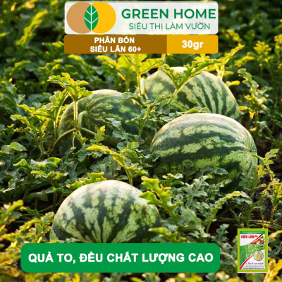 Phân Bón Lá Greenhome, Siêu Lân 60+, Gói 30gr, Phát Triển Rễ, Tạo Mầm Hoa, Kích Ra Hoa