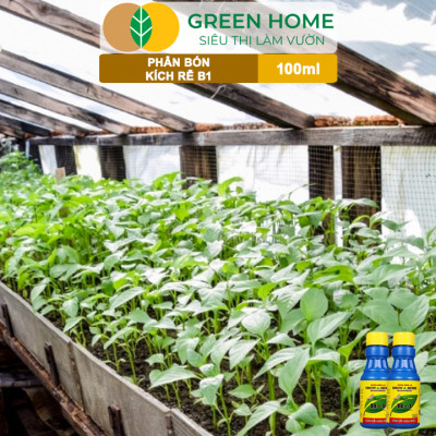 Phân Bón Kích Rễ, Greenhome, B1, Chai 100ml, Tạo Mầm, Rễ Khoẻ, Sai Hoa, Phục Hồi Rễ Yếu, Lá Dày
